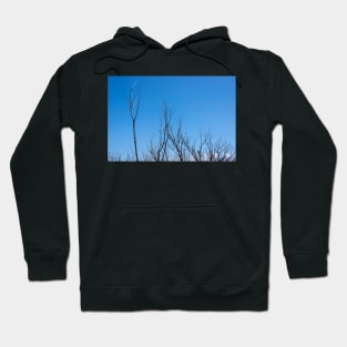 Bare branches Hoodie